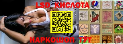 спайс Гагарин