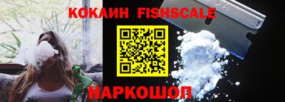 спайс Гагарин