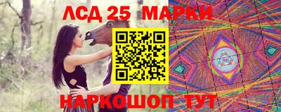 спайс Гай