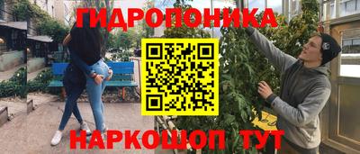 спайс Гай