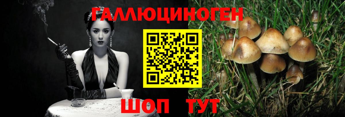 Псилоцибиновые грибы Cubensis Нововоронеж